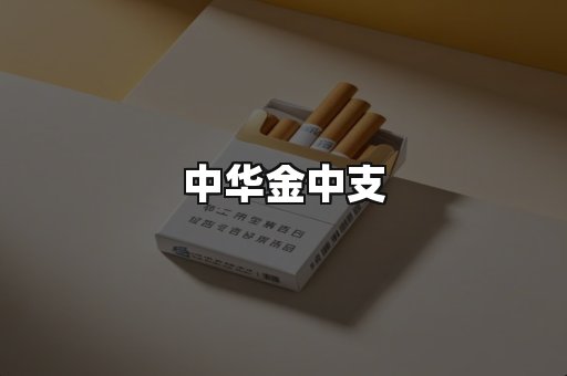 中华金中支